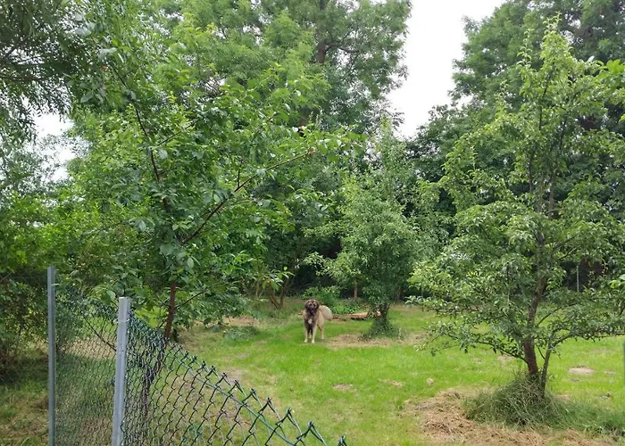 Bendig Appartement *